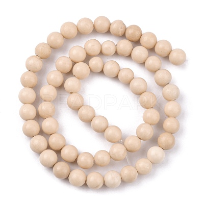 Natural Fossil Beads Strands X-G-E110-6mm-2-1