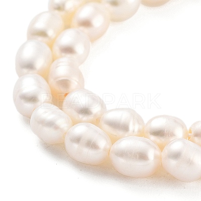 Natural Cultured Freshwater Pearl Beads Strands PEAR-P062-16B-X-1