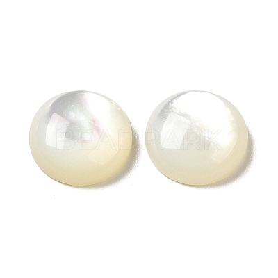 Natural White Shell Cabochons SSHEL-M022-01D-1
