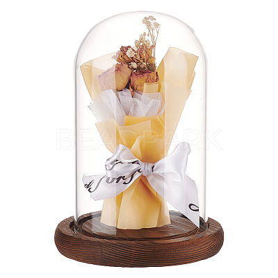 Glass Dome Cover DJEW-WH0015-100A-1