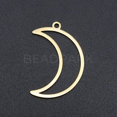 Ion Plating(IP) 201 Stainless Steel Pendants STAS-R111-LA137-1