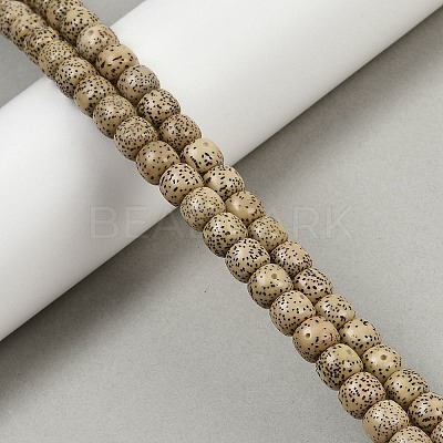Natural Rudraksha Bodhi Seed Beads Strand WOOD-B010-A03-7x8mm-1