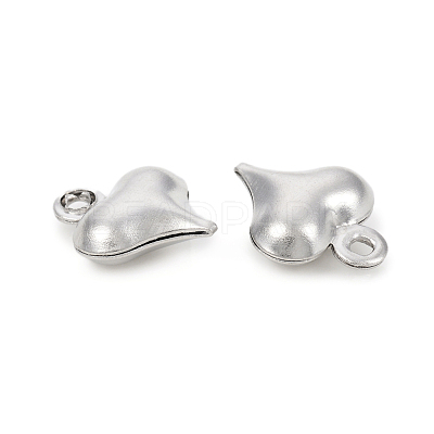 Non-Tarnish 304 Stainless Steel Charms STAS-I149-05B-P-1