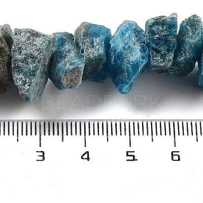 Raw Rough Natural Apatite Beads Strands G-P528-A15-01-1