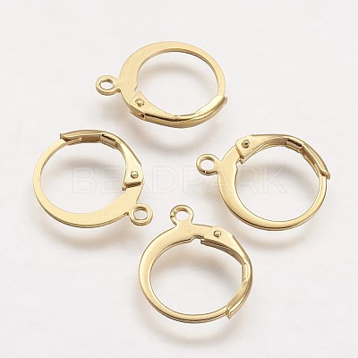 304 Stainless Steel Leverback Earring Findings STAS-F041-47-G-1