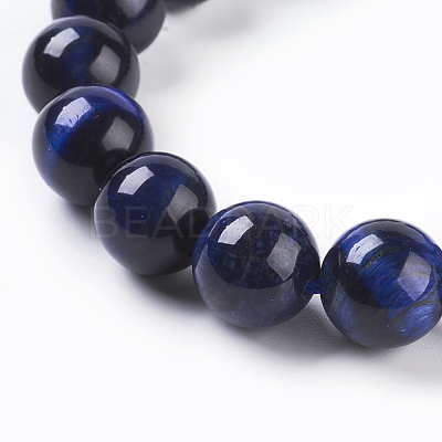 Natural Blue Tiger Eye Beads Strands X-G-G099-10mm-13-1