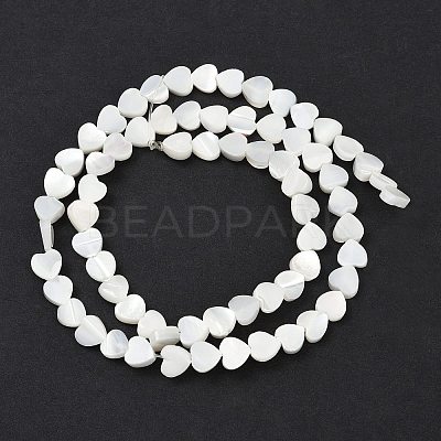 Natural Trochid Shell/Trochus Shell Beads Strands SSHEL-K012-04A-1