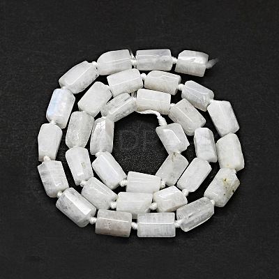Natural Rainbow Moonstone Beads Strands G-O170-121-1