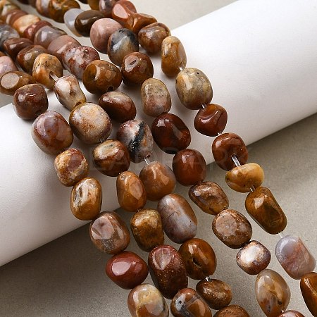 Natural Petrified Wood Beads Strands G-L621-C11-01-1