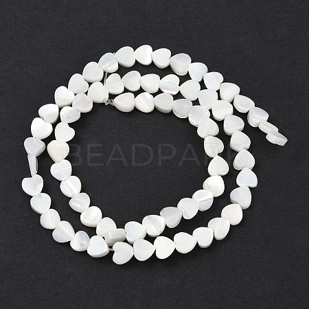 Natural Trochid Shell/Trochus Shell Beads Strands SSHEL-K012-04A-1