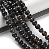 Dyed Natural Regalite/Imperial Jasper/Sea Sediment Jasper Beads Strands G-B124-C01-3
