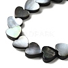 Natural Black Lip Shell Beads Strands BSHE-D300-06B-3