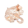Alloy Rhinestone Lapel Pins for Backpack Clothes JEWB-P058-06G-2
