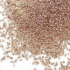 Plated Glass Seed Beads SEED-S017-01-3