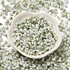 Baking Paint Glass Seed Beads SEED-F006-01A-05-2