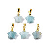 Natural Amazonite Charms X-G-N326-142-08-1