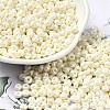 Baking Paint Luster Glass Seed Beads X-SEED-B001-04A-11-1