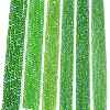 Electroplate Glass Beads Strands EGLA-A044-T8mm-L11-2