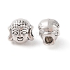 Tibetan Style Alloy Beads FIND-C060-022AS-2