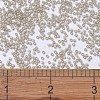 MIYUKI Delica Beads SEED-JP0008-DB1458-4