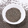MIYUKI Delica Beads SEED-MY11-DB0380-2