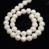 Natural Cultured Freshwater Pearl Beads Strands PEAR-L001-B-10-3