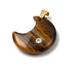 Natural Tiger Eye Pendants G-A297-02G-04-2