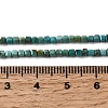Natural HuBei Turquoise Beads Strands G-C009-B12-B-5