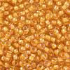 TOHO 8/0 Round Beads SEED-XTR08-0950-2