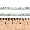 Natural Larimar Beads Strands G-F785-B01-01A-3