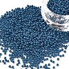 11/0 FGB Grade A Baking Paint Glass Seed Beads X-SEED-N001-A-1013-1