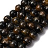 Dyed Natural Blue Tiger Iron Beads Strands G-G286-A02-10mm-2