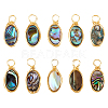10Pcs Copper Wired Natural Abalone Shell/Paua Shell Pendants PALLOY-FI00001-1