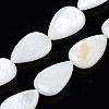 Natural Sea Shell Beads Strands SSHEL-Q296-43-1