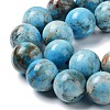 Natural Apatite Beads Strands G-G858-01C-3
