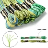 12 Skeins 6 Colors 6-Ply Polyester Embroidery Floss OCOR-FS0001-01B-04-3
