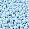 Baking Paint Glass Seed Beads X1-SEED-B001-02A-08-3