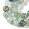 Natural Fluorite Beads Strands X-G-P530-B04-03-3