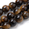 Natural Tiger Eye Beads Strands X-G-S259-21-10mm-1