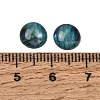 Abalone Shell/Paua Shell Cabochons SSHEL-K003-8MM-3