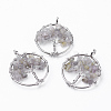 Natural Labradorite Pendants G-E419-16P-2