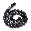 Natural Silver Obsidian Beads Strands G-D083-01B-2