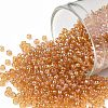 TOHO 11/0 Round Beads X-SEED-TR11-0162B-1