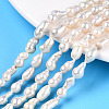 Natural Baroque Pearl Keshi Pearl Beads Strands PEAR-S020-F10-01-1