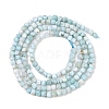 Natural Larimar Beads Strands G-F803-C01-03A-3