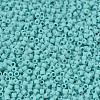 MIYUKI Delica Beads SEED-X0054-DB1586-3
