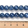 Natural Kyanite Beads Strands G-H335-B04-8mm-5