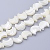 Natural White Shell Beads Strands X-SSHEL-12X11-1