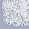 Baking Paint Glass Beads SEED-S023-11B-15-2