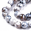 Electroplate Natural Fire Crackle Agate Beads Strands G-T131-54D-3